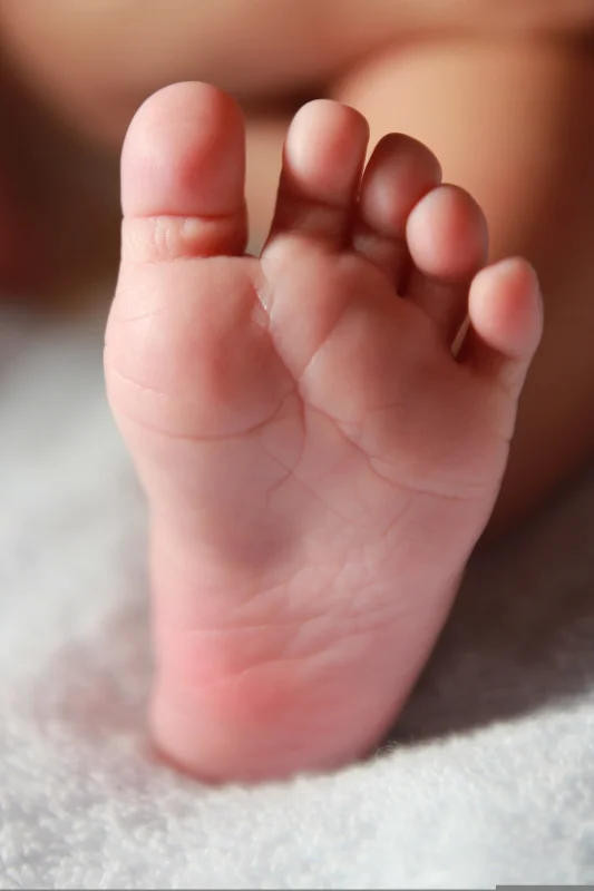 pied mignon d'un bebe